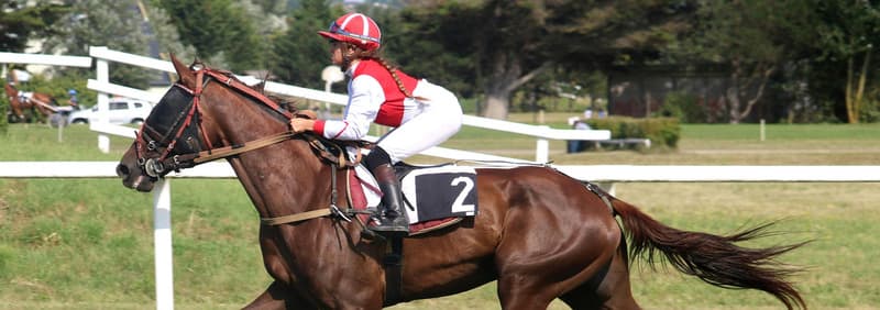 Betting on the outcome of a horse race