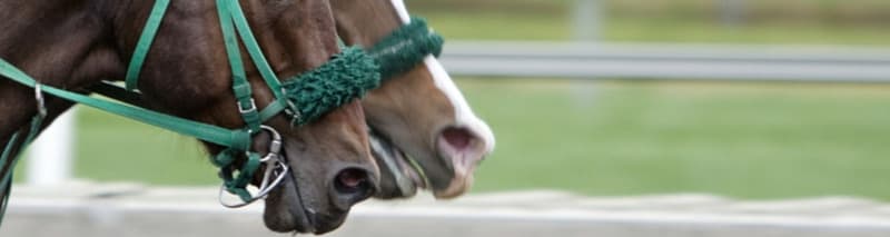 What is a photo-finish