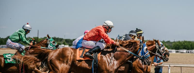 Horse racing distances from sprints to stayers’ marathons