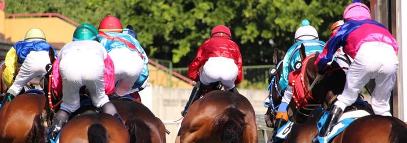 Flat or Jump Racing
