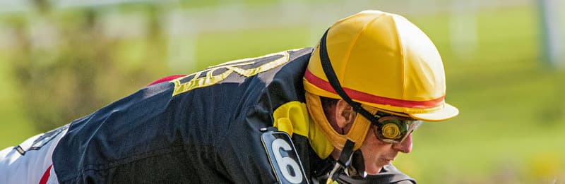 Many different types of Horse Racing