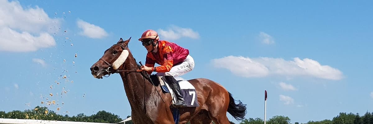 Royal Ascot runners break from the stalls